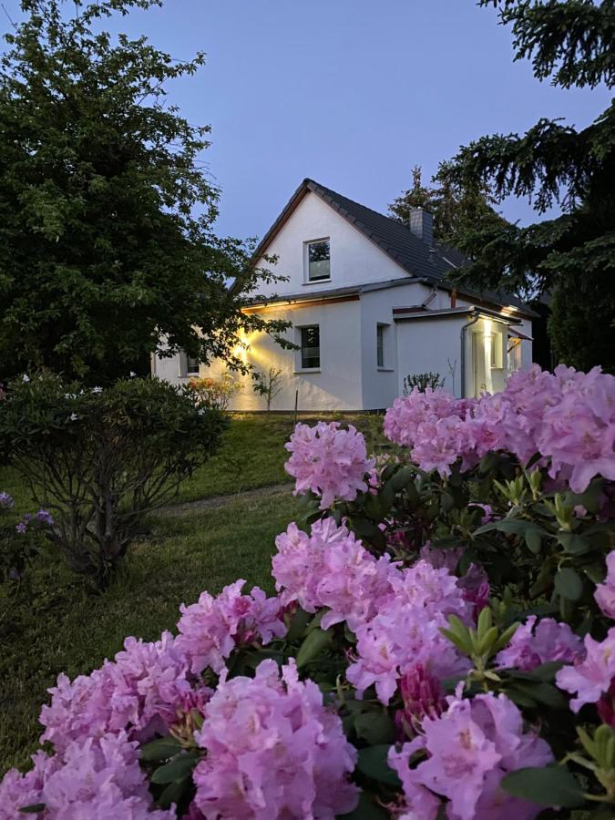 Gemuetliches Ferienhaus Spremberg Bagian luar foto